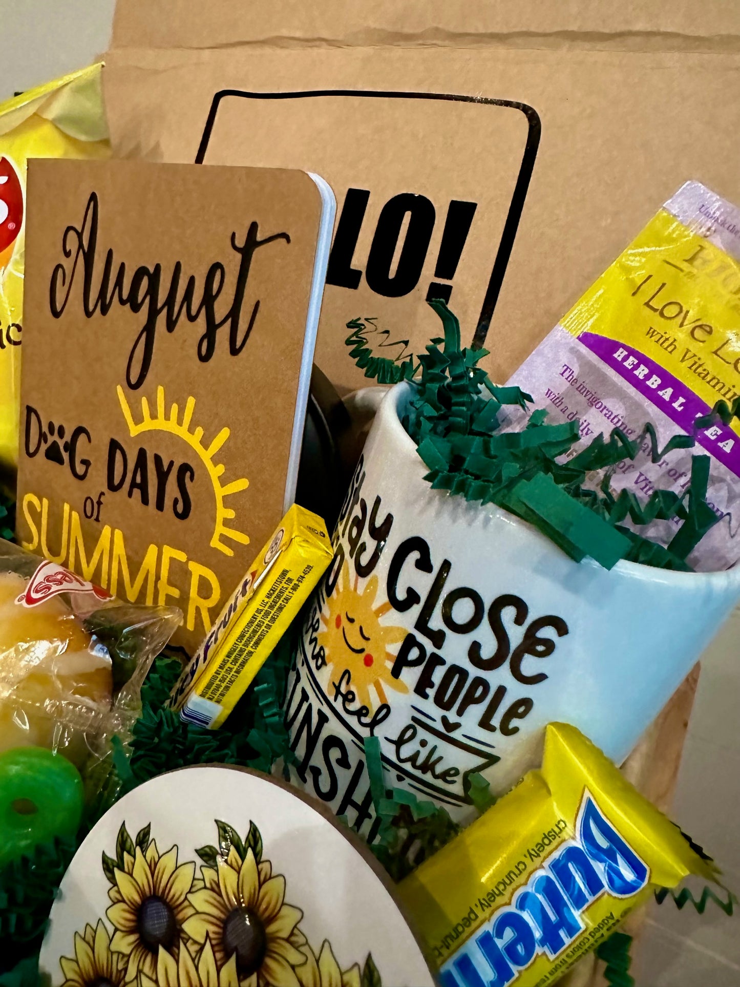 Gift Box- Senior Monthly Program- Dog Days Of Summer- August