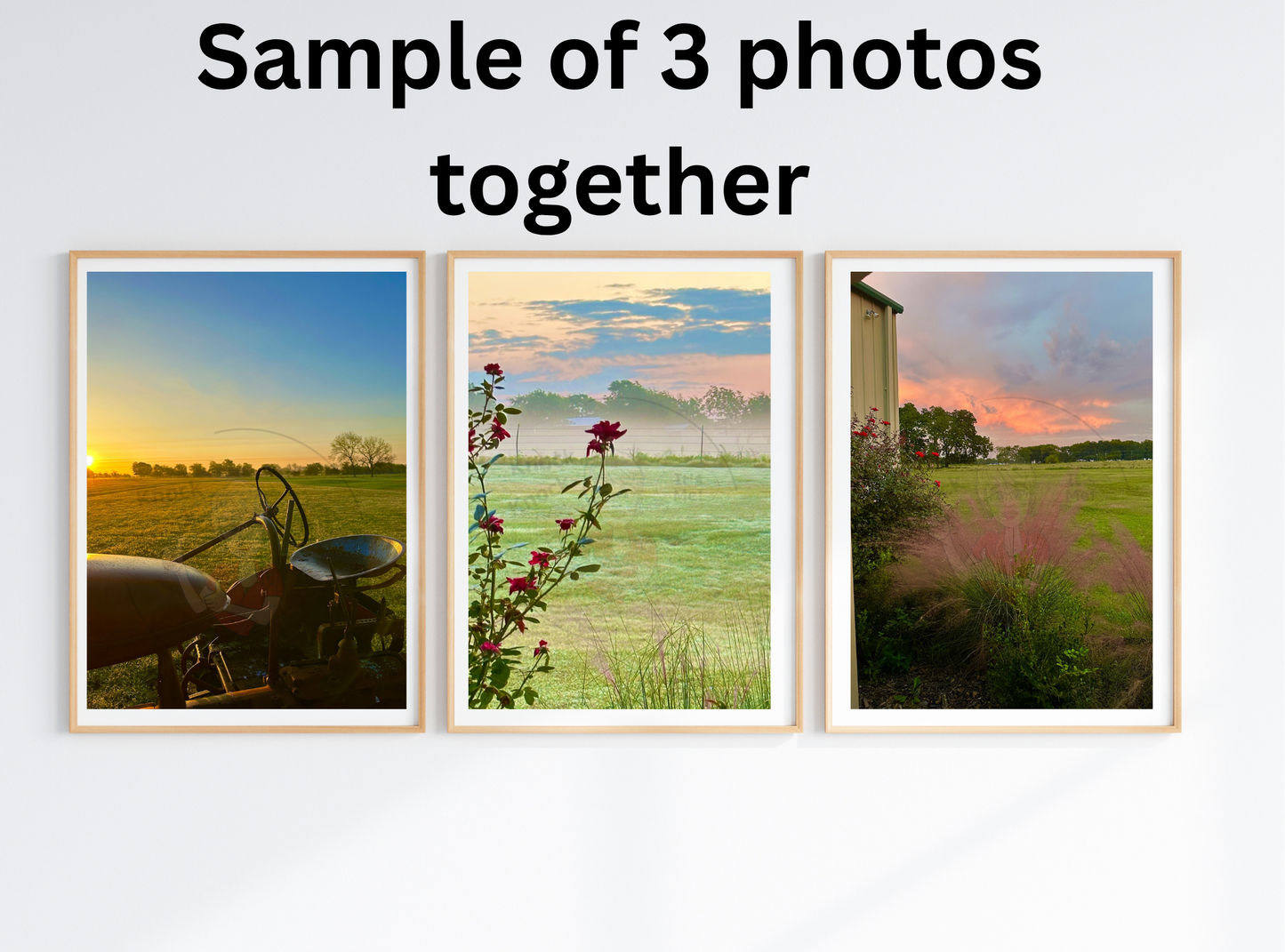 Art Photography Prints- 16 x 24- Vertical Individual Print- Landscape #3