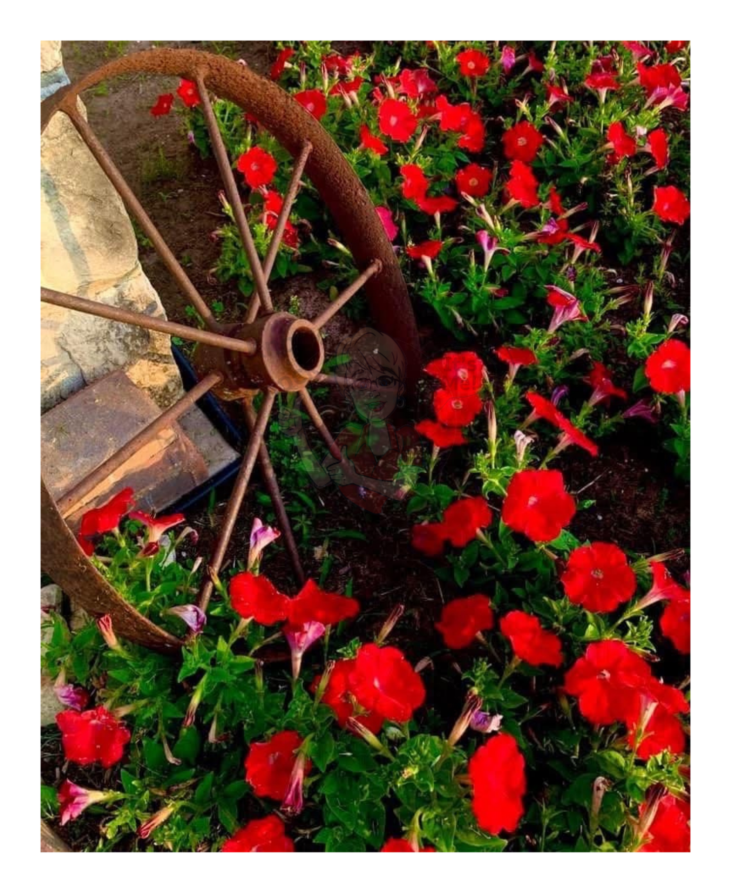 Art Photography Print- 16 x 20- Vertical Individual Print- Landscape #16