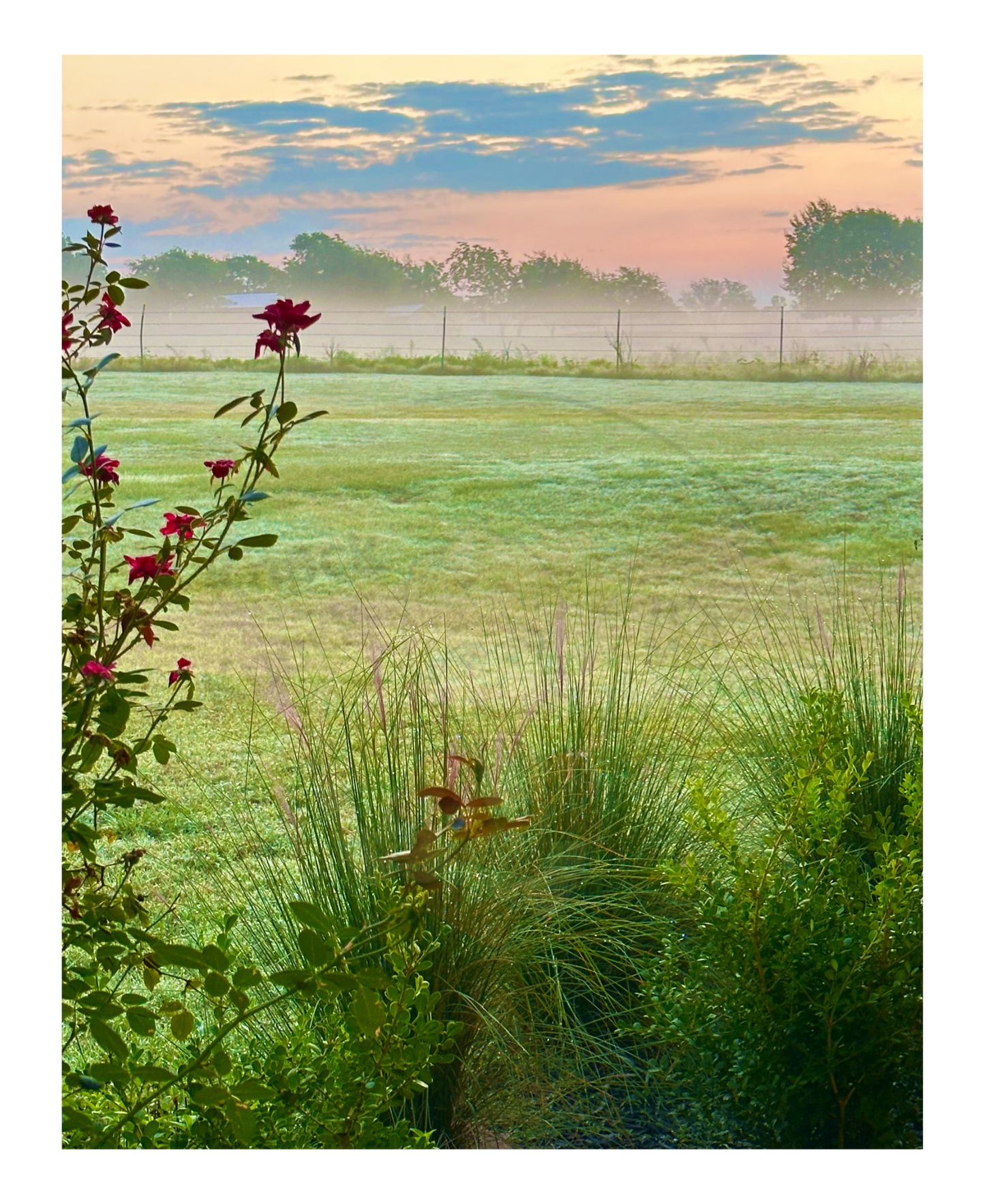 Art Photography Prints- 16 x 20- Vertical Individual Print- Landscape #2