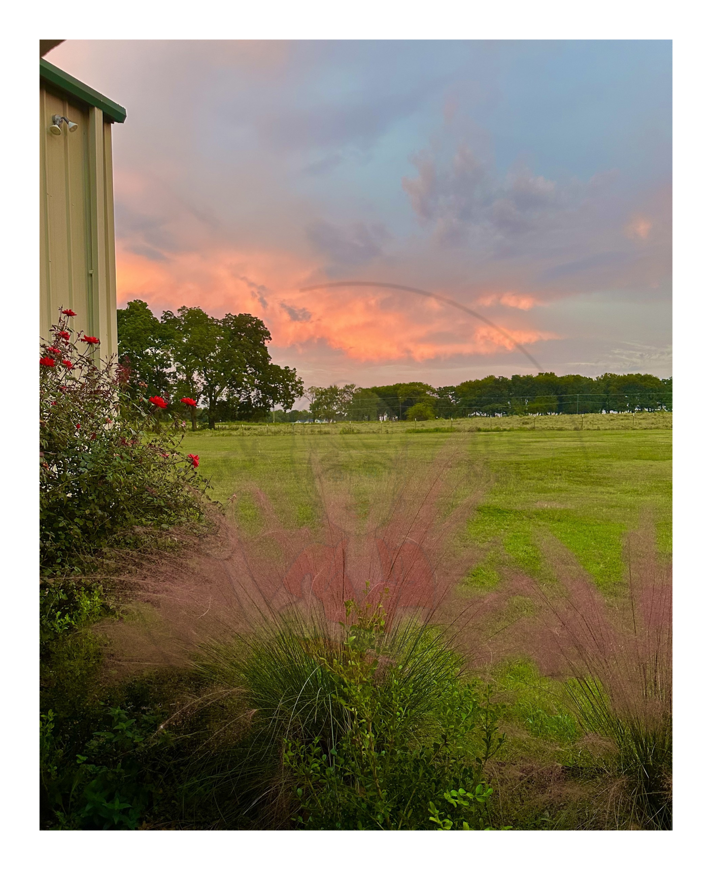 Art Photography Prints- 16 x 20- Vertical Individual Print- Landscape #1