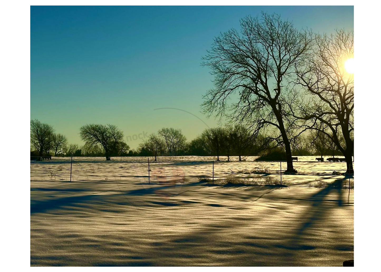 Art Photography Print- 16 x 20- Horizontal Individual Print- Landscape #13