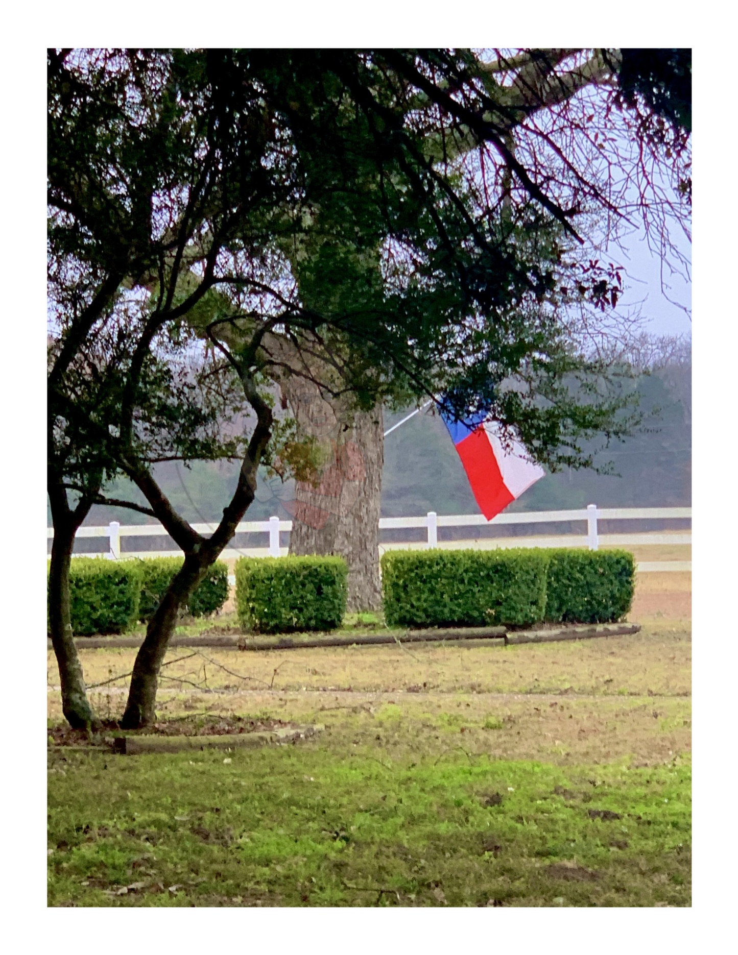 Art Photography Print- 16 x 20- Vertical Individual Print- Landscape #15