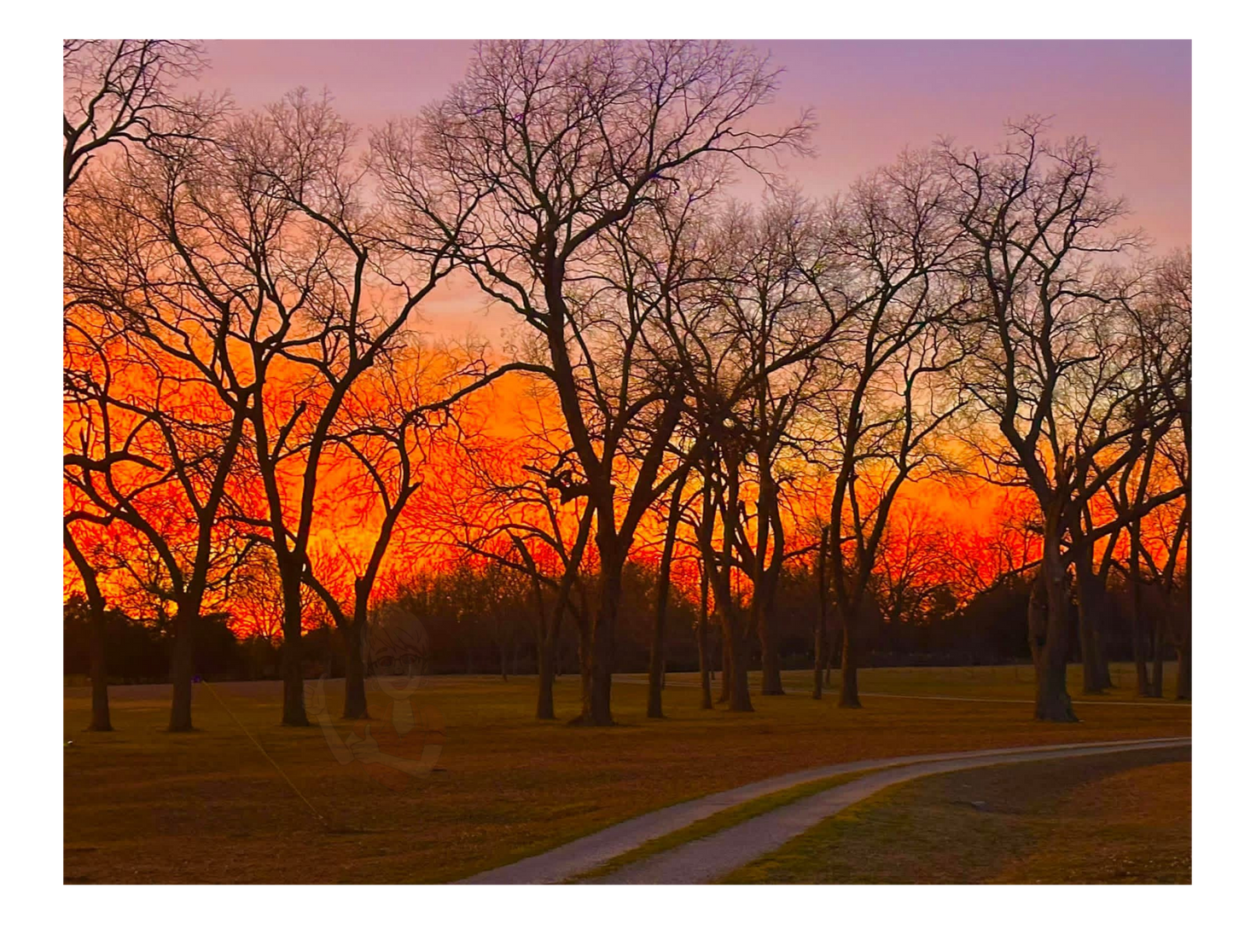 Art Photography Print- 16 x 20 Horizontal Individual Print- Landscape-#19