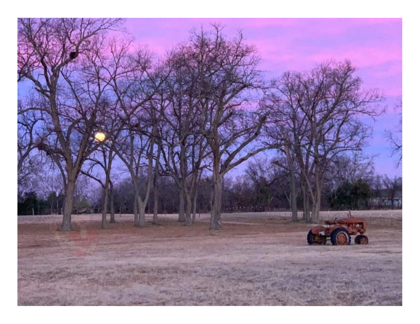 Art Photography Print- 16 x 20- Horizontal Individual Print- Landscape #25