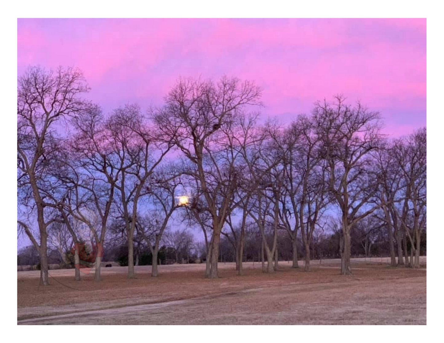 Art Photography- 16 x 20- Horizontal Individual Print- Landscape #26