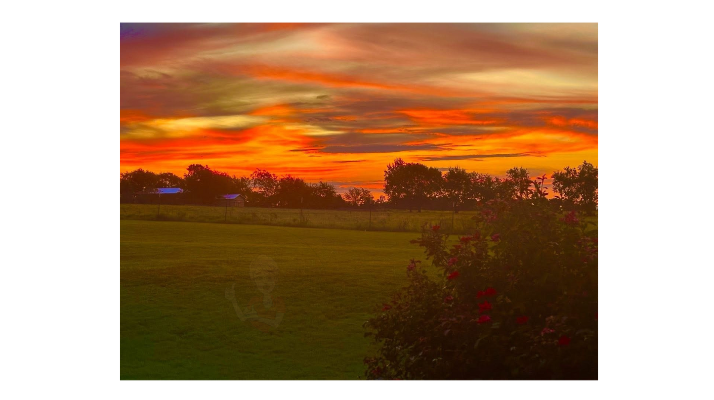 Art Photography Print- 16 x 20- Horizontal Individual Print- Landscape #28