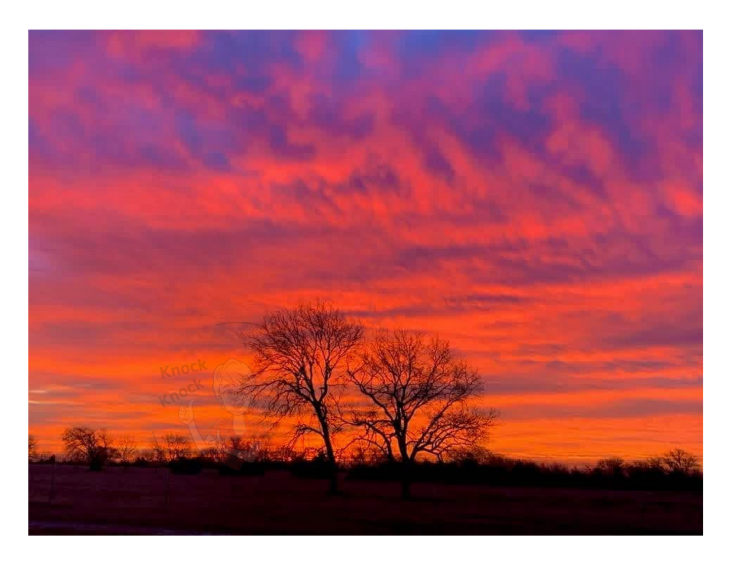 Art Photography Print- 16 x 20- Horizontal Individual Print- Landscape #29