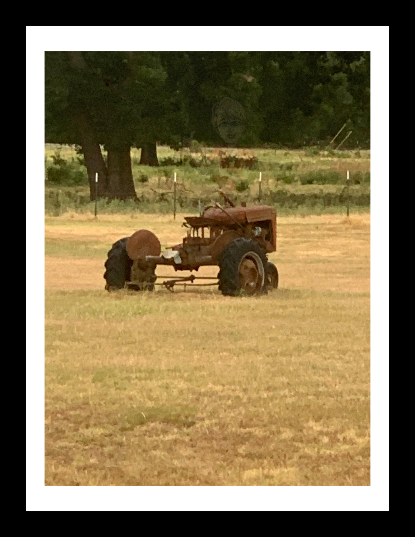 Art Photography Prints- 16 x 20- 3 Vertical Prints- Collection #2