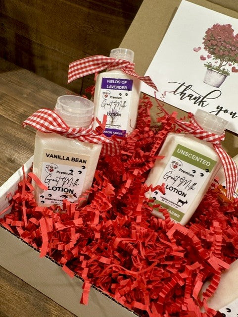 Gift Box- Sample Lotion Gift Box