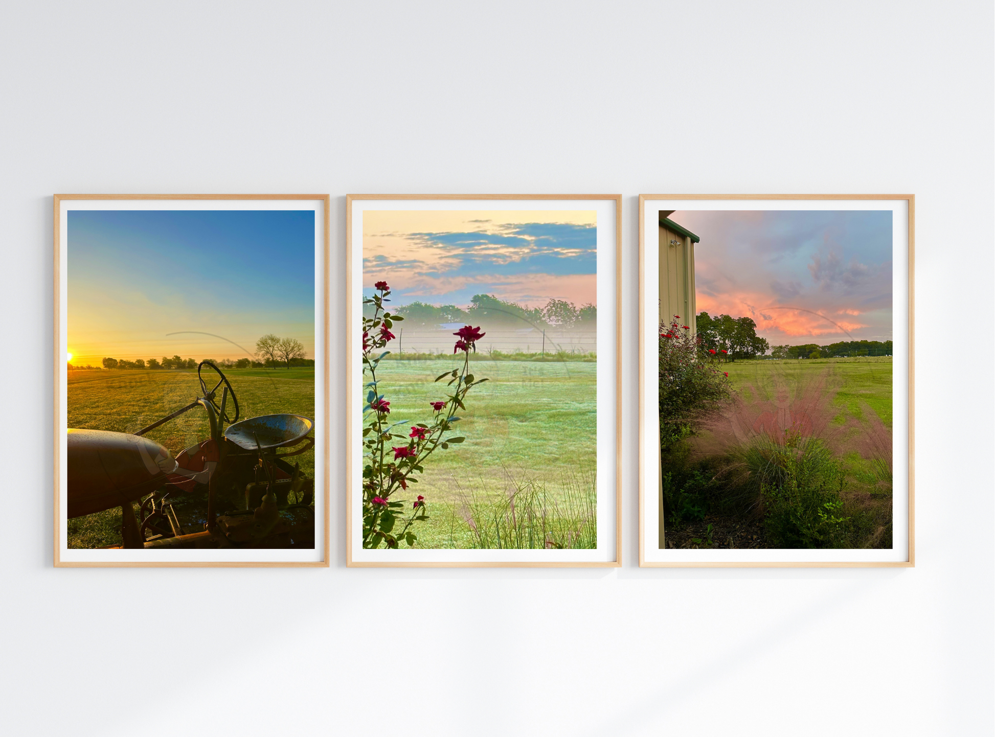 Sample of 3 photos together displayed