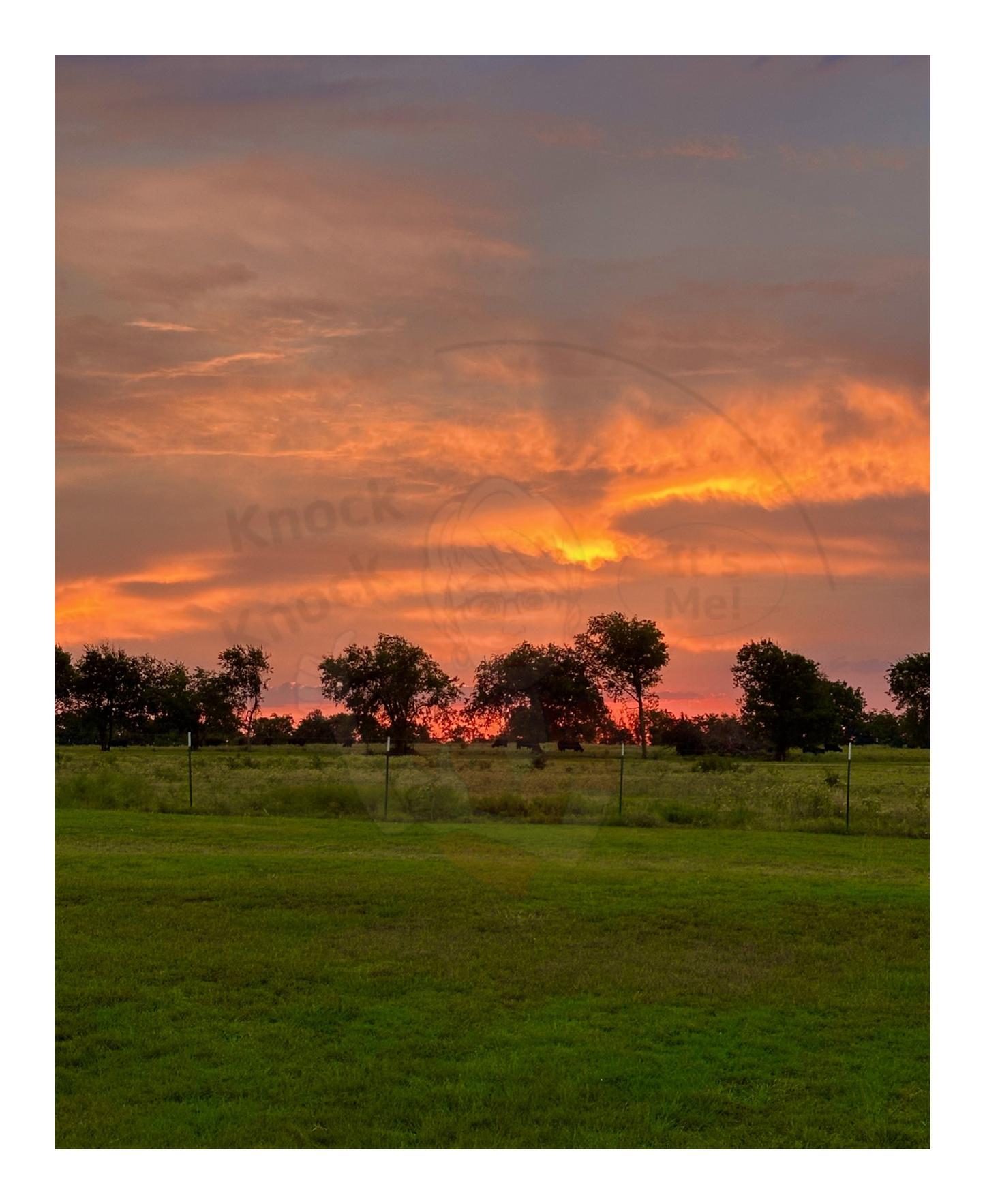 Art Photography Prints- 16 x 20- Vertical Individual Print- Landscape #10