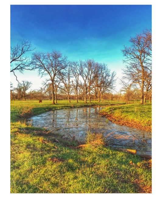 Art Photography Print- 16 x 20- Vertical Individual Print- Landscape #11