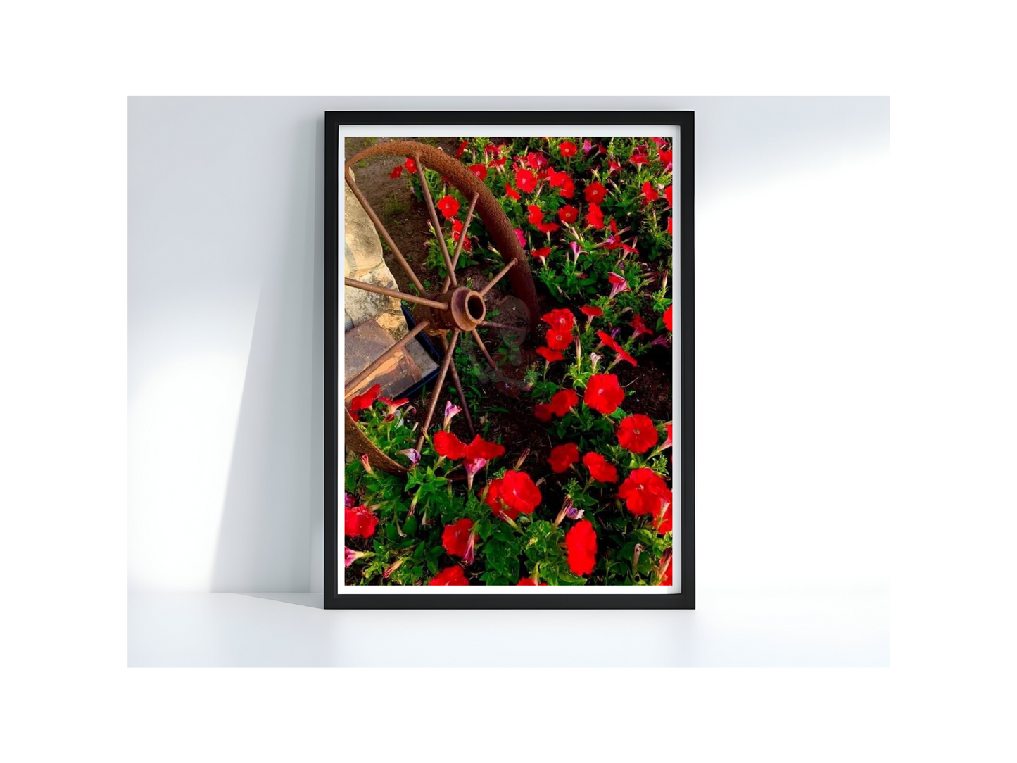 Art Photography Print- 16 x 20- Vertical Individual Print- Landscape #16