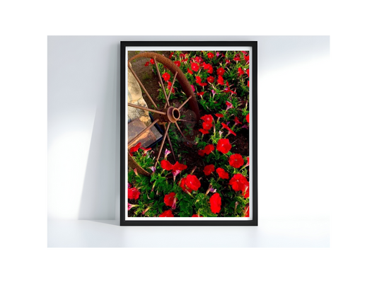 Art Photography Print- 16 x 20- Vertical Individual Print- Landscape #16