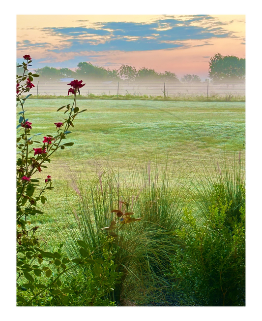 Art Photography Prints- 16 x 20- Vertical Individual Print- Landscape #2