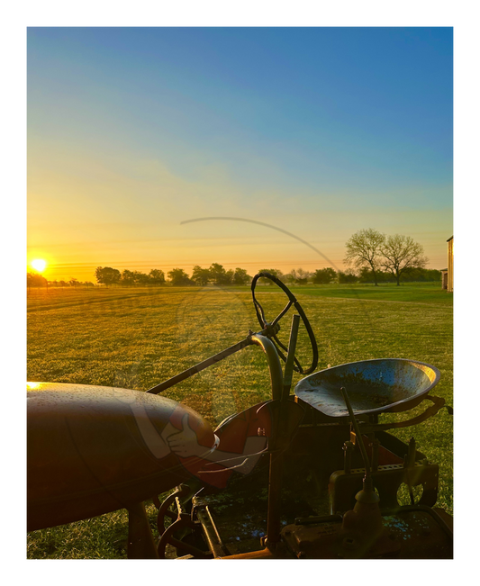 Art Photography Prints- 16 x 24- Vertical Individual Print- Landscape #3