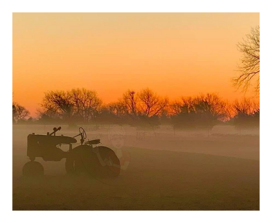 Art Photography Print- 16 x 20- Horizontal Individual Print- Landscape #7