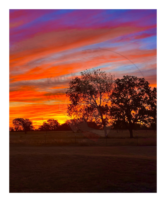 Art Photography Print- 16 x 20- Vertical Individual Print- Landscape #9