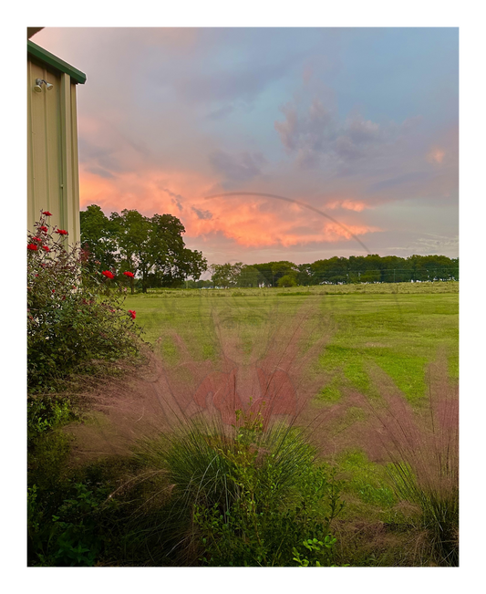 Art Photography Prints- 16 x 20- Vertical Individual Print- Landscape #1