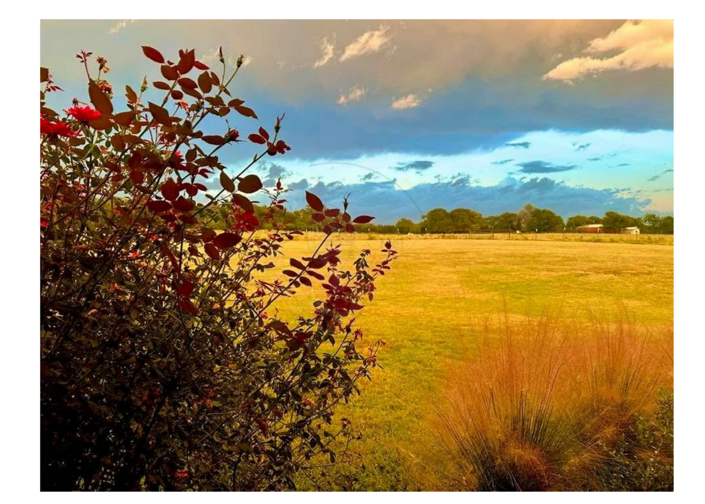 Art Photography Print- 16 x 20- Horizontal Individual Print- Landscape #12