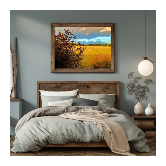 Art Photography Print- 16 x 20- Horizontal Individual Print- Landscape #12