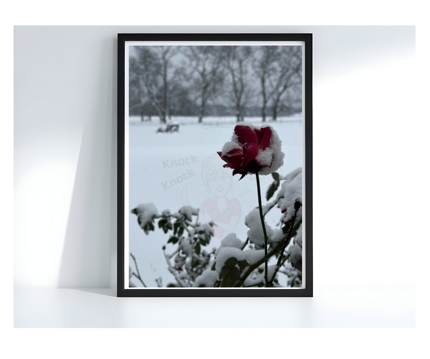 Art Photography Print- 16 x 20- Vertical Individual Print- Landscape #14