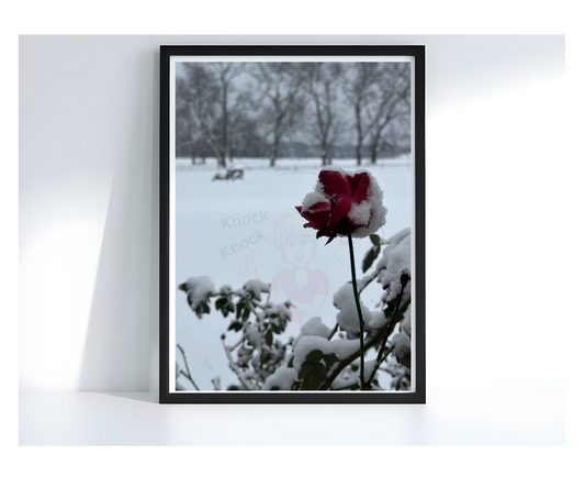 Art Photography Print- 16 x 20- Vertical Individual Print- Landscape #14