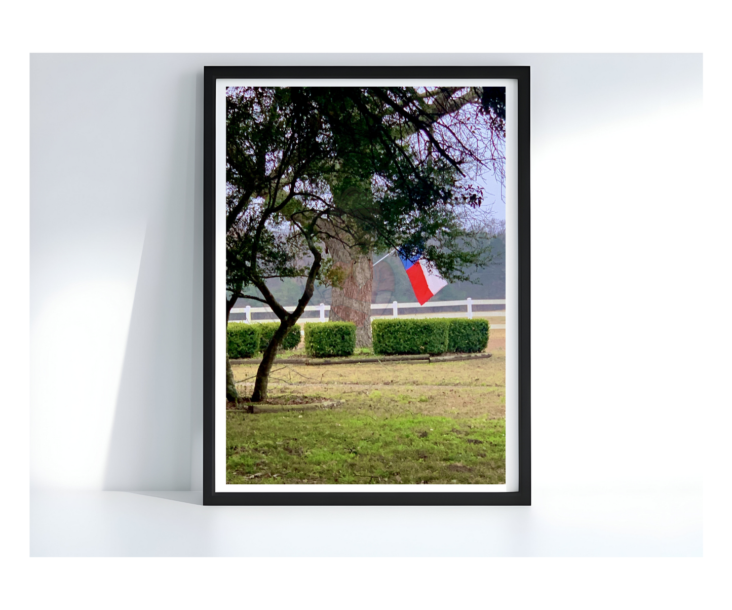 Art Photography Print- 16 x 20- Vertical Individual Print- Landscape #15