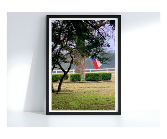 Art Photography Print- 16 x 20- Vertical Individual Print- Landscape #15