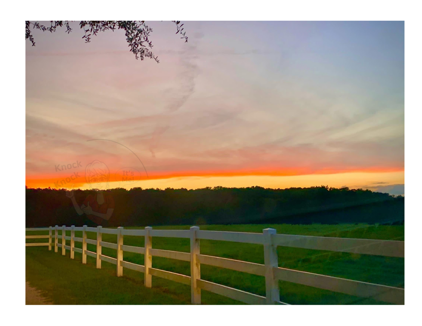 Art Photography Print- 16 x 20- Horizontal Individual Print- Landscape-#18