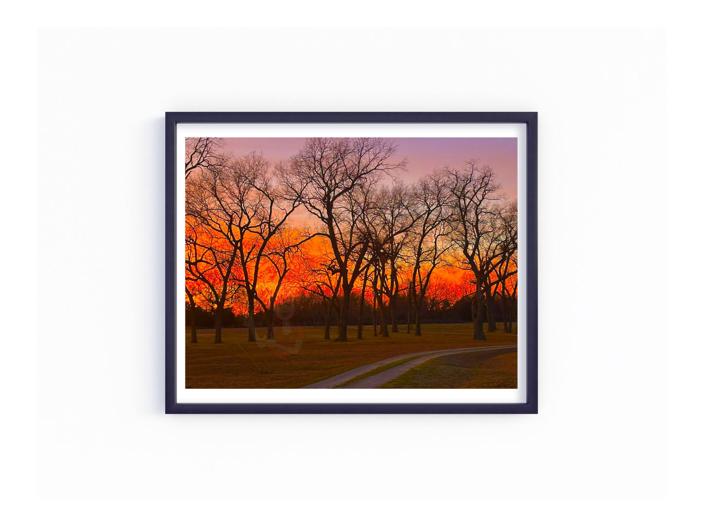Art Photography Print- 16 x 20 Horizontal Individual Print- Landscape-#19