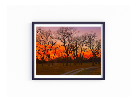 Art Photography Print- 16 x 20 Horizontal Individual Print- Landscape-#19