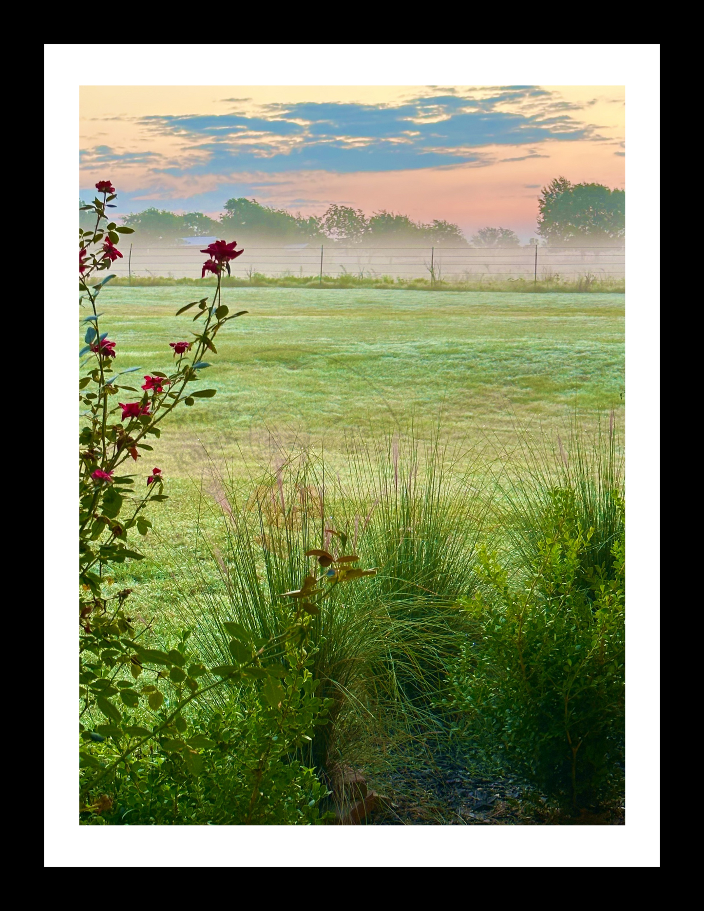 Art Photography Prints- 16 x 20- Vertical Individual Print- Landscape #2