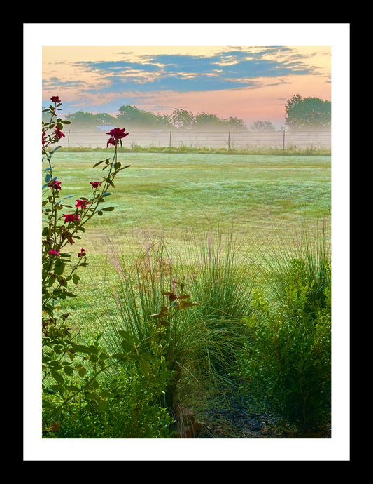 Art Photography Prints- 16 x 20- Vertical Individual Print- Landscape #2