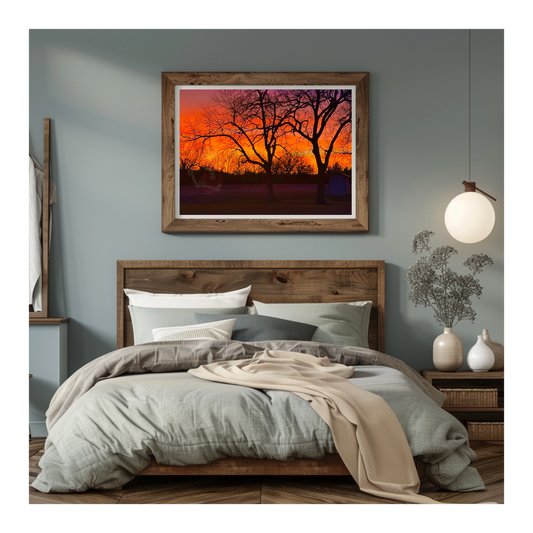 Art Photography Print- 16 x 20- Horizontal Individual Print- Landscape #20