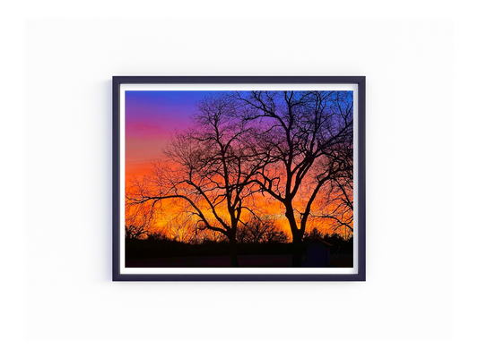 Art Photography Print- 16 x 20- Horizontal Individual Print- Landscape #21