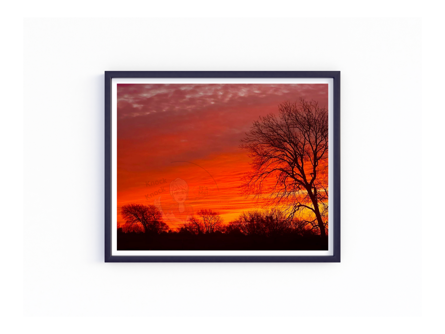 Art Photography- 16 x 20- Horizontal Individual Print- Landscape #22