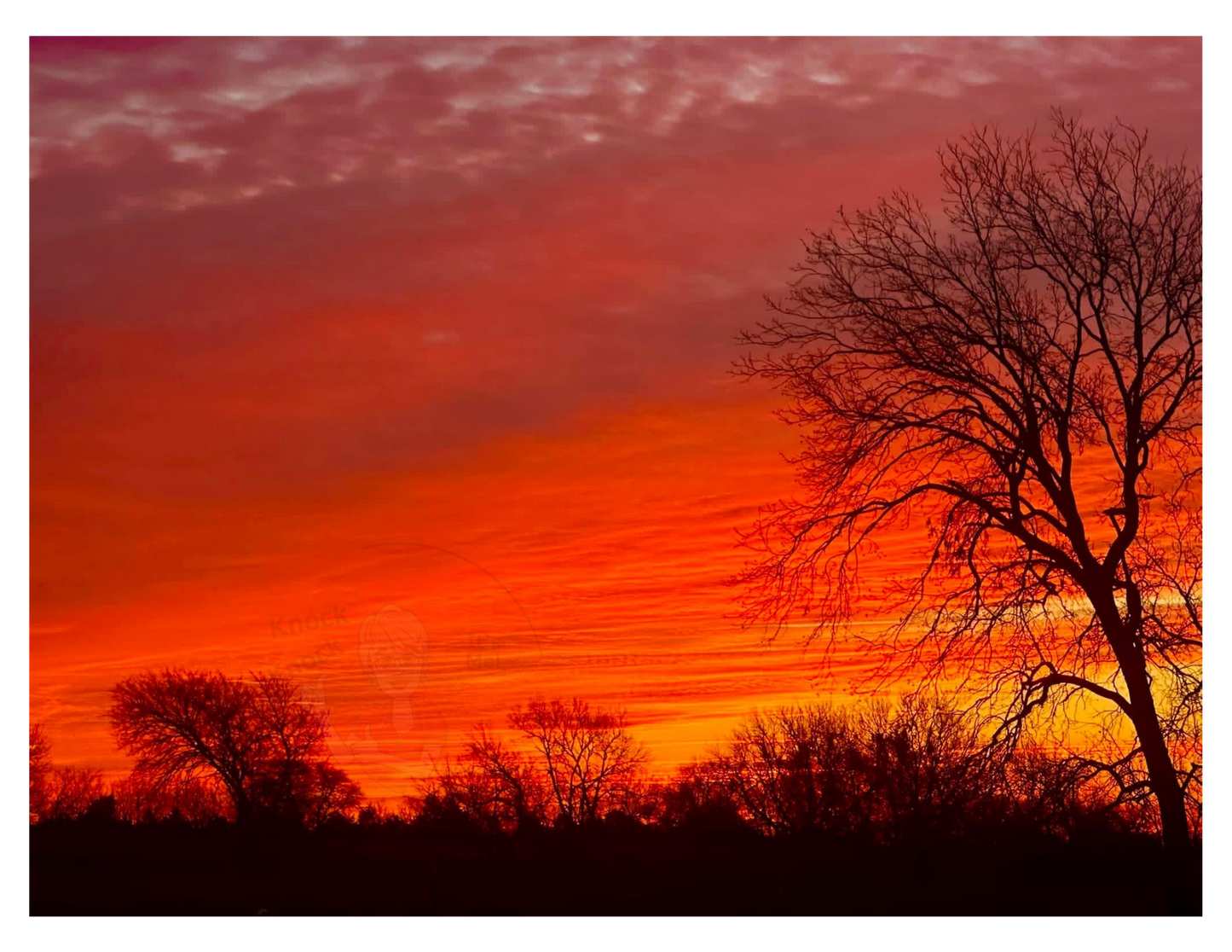 Art Photography- 16 x 20- Horizontal Individual Print- Landscape #22