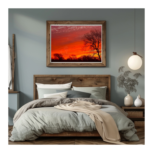 Art Photography- 16 x 20- Horizontal Individual Print- Landscape #22