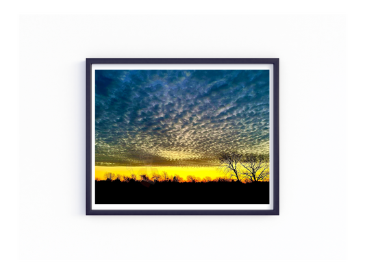 Art Photography Print- 16 x 20- Horizontal Individual Print- Landscape- #23