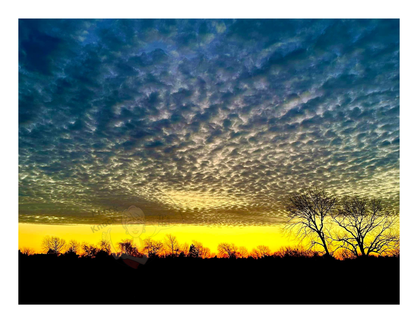 Art Photography Print- 16 x 20- Horizontal Individual Print- Landscape- #23