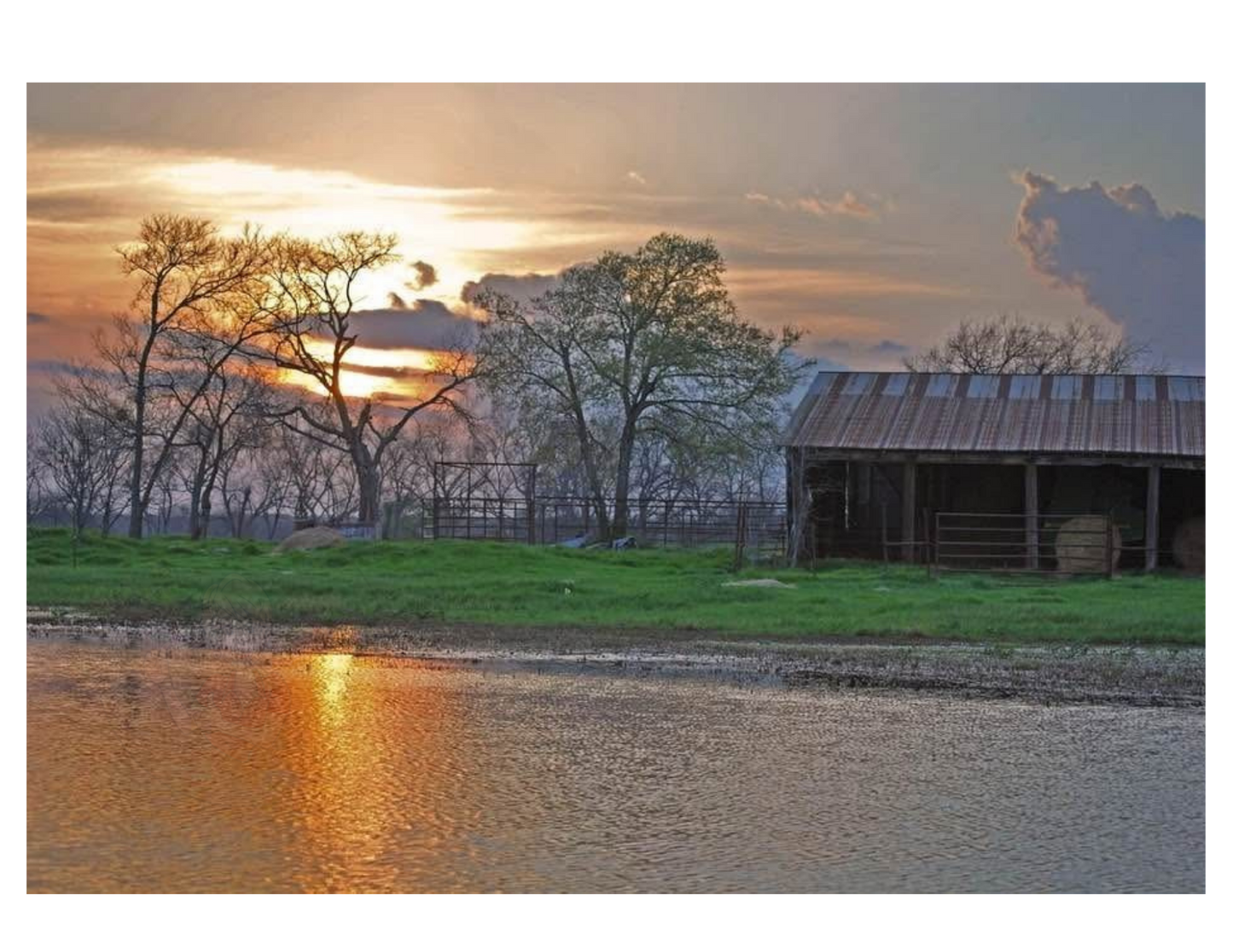 Art Photography Print- 16 x 20- Horizontal Individual Print- Landscape #24