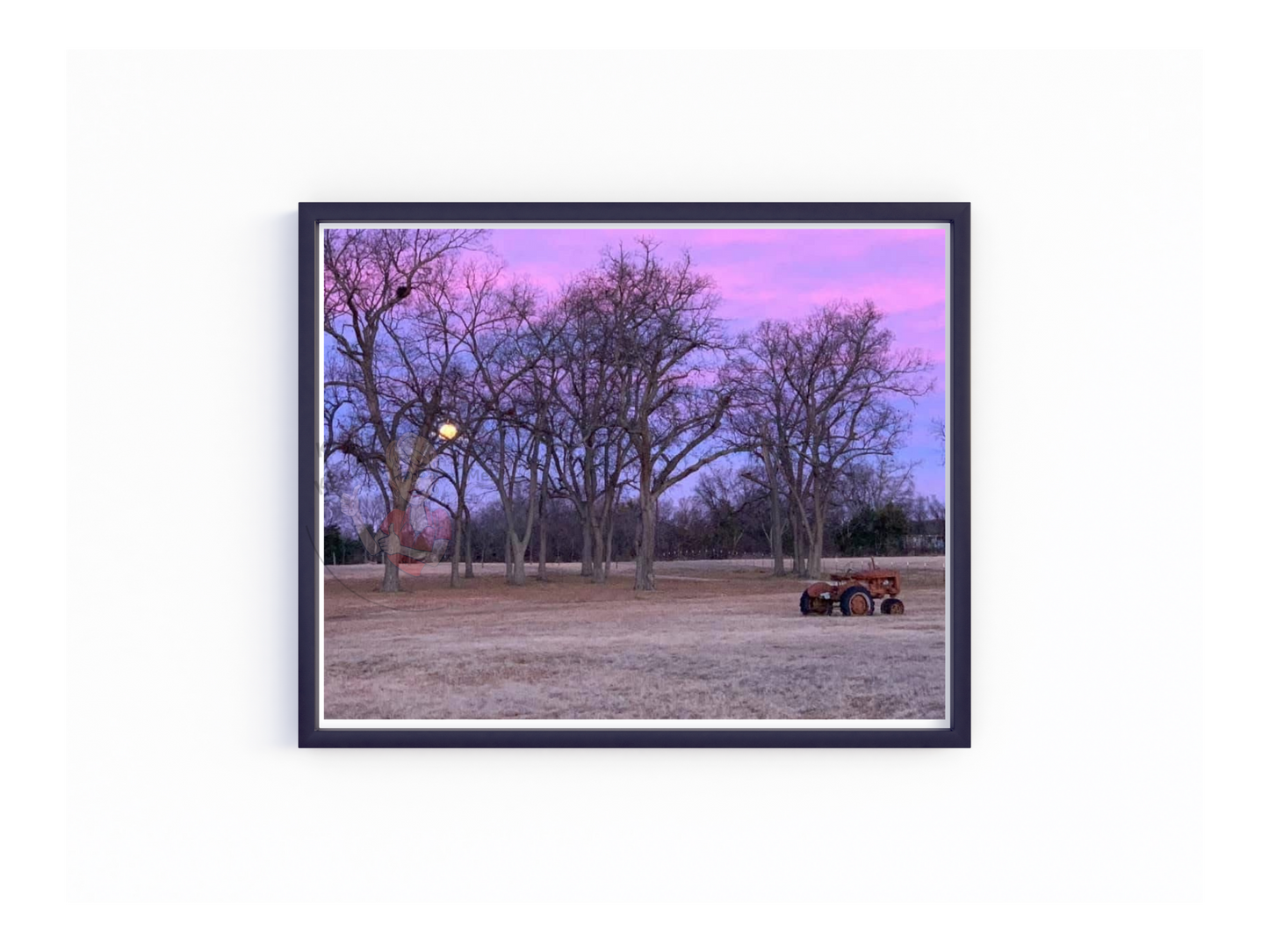 Art Photography Print- 16 x 20- Horizontal Individual Print- Landscape #25