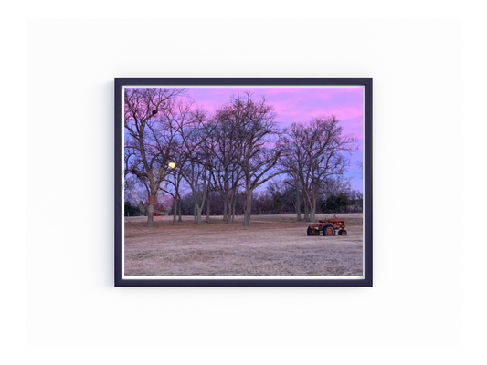 Art Photography Print- 16 x 20- Horizontal Individual Print- Landscape #25