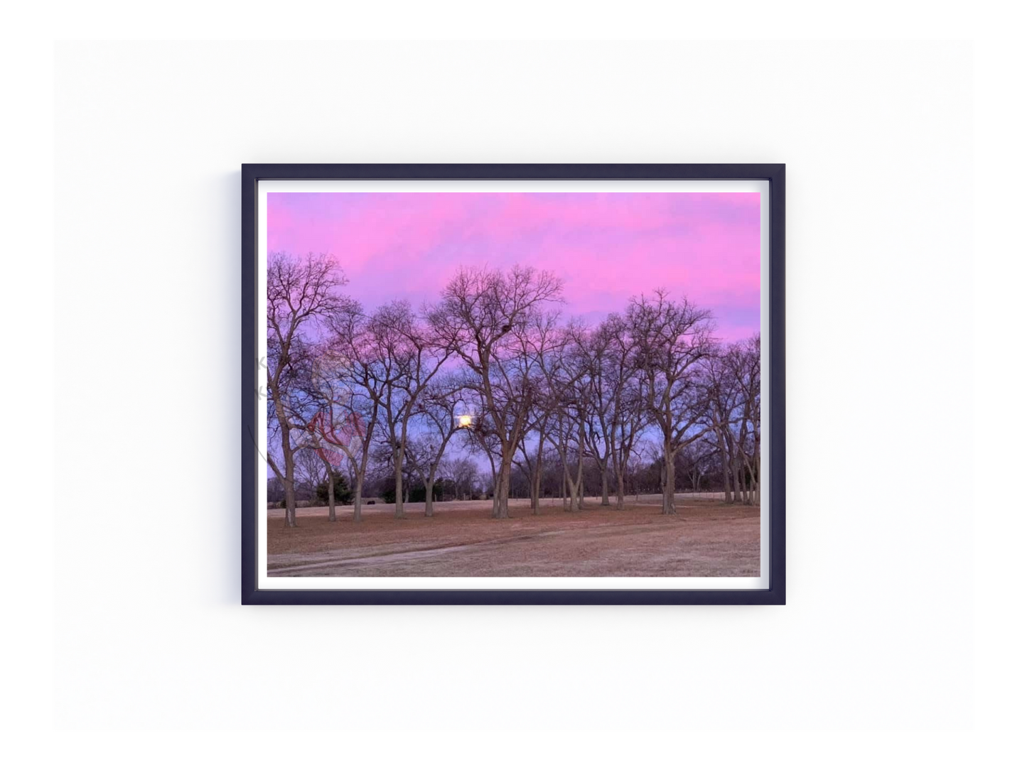 Art Photography- 16 x 20- Horizontal Individual Print- Landscape #26