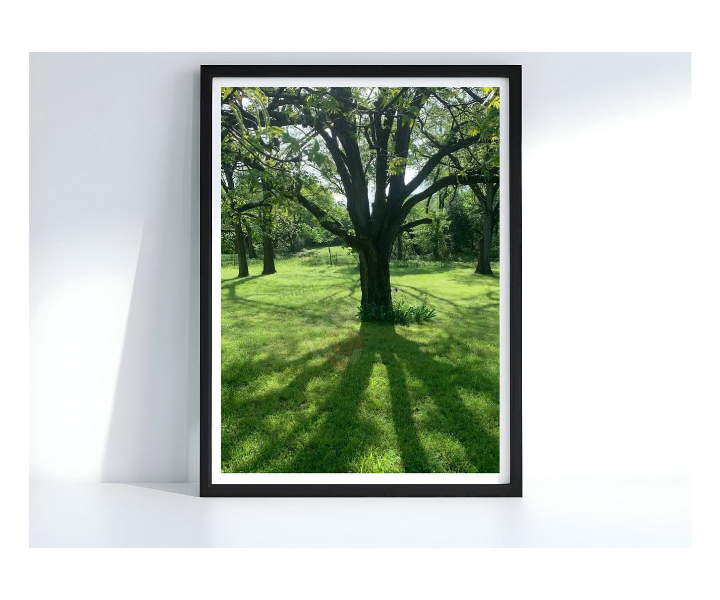Art Photography Print- 16 x 20- Vertical Individual Print- Landscape #31