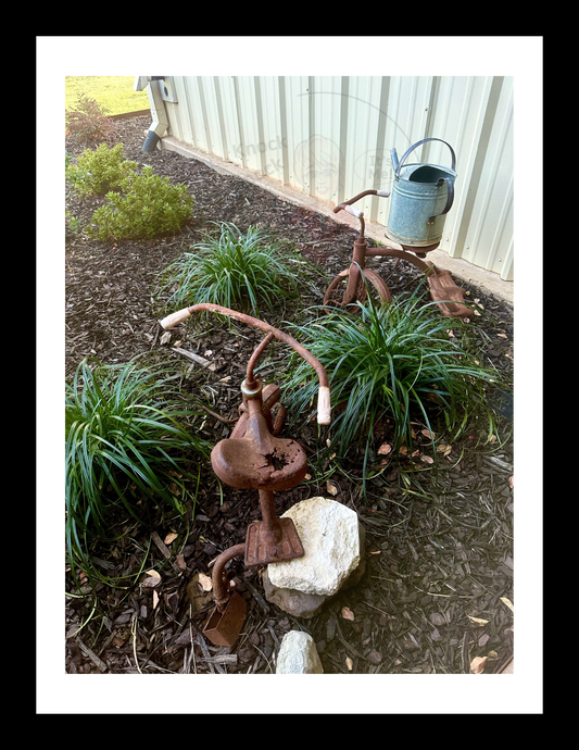 Art Photography Prints- 16 x 20- Vertical Individual Print- Landscape #4