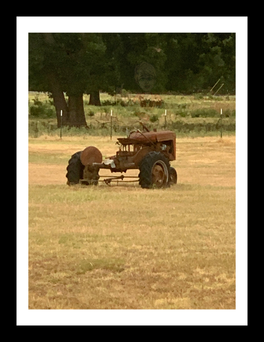 Art Photography Print- 16 x 20- Vertical Individual Print- Landscape #5