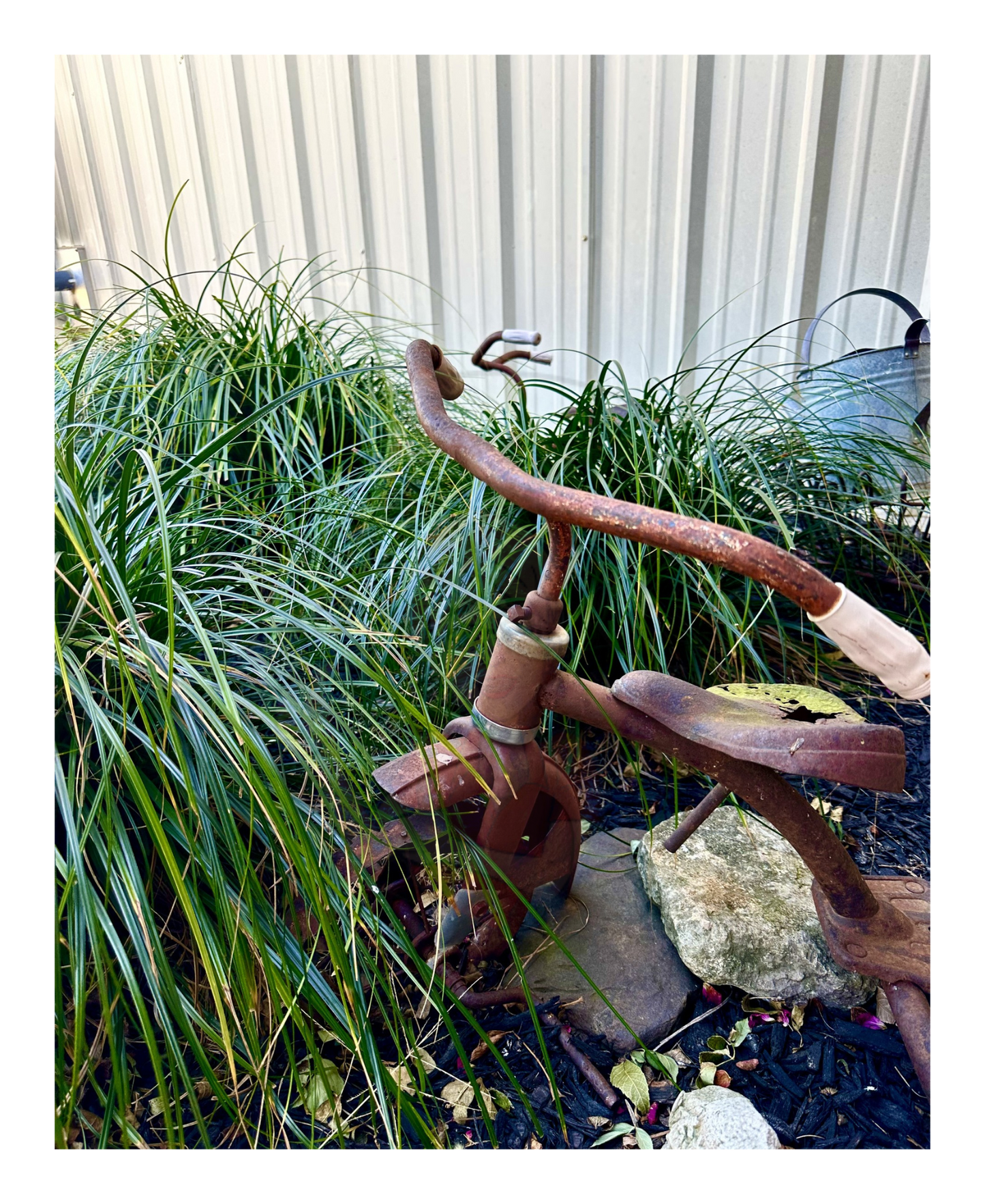 Art Photography Prints- 16 x 20- Vertical Individual Print- Landscape #4